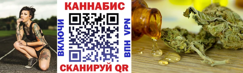 Конопля SATIVA & INDICA  как найти закладки  Трубчевск 